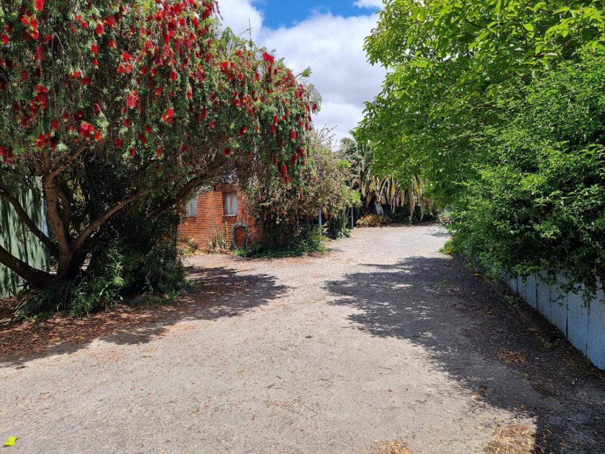 Saint Arnaud La Cochon Rose Motel المظهر الخارجي الصورة