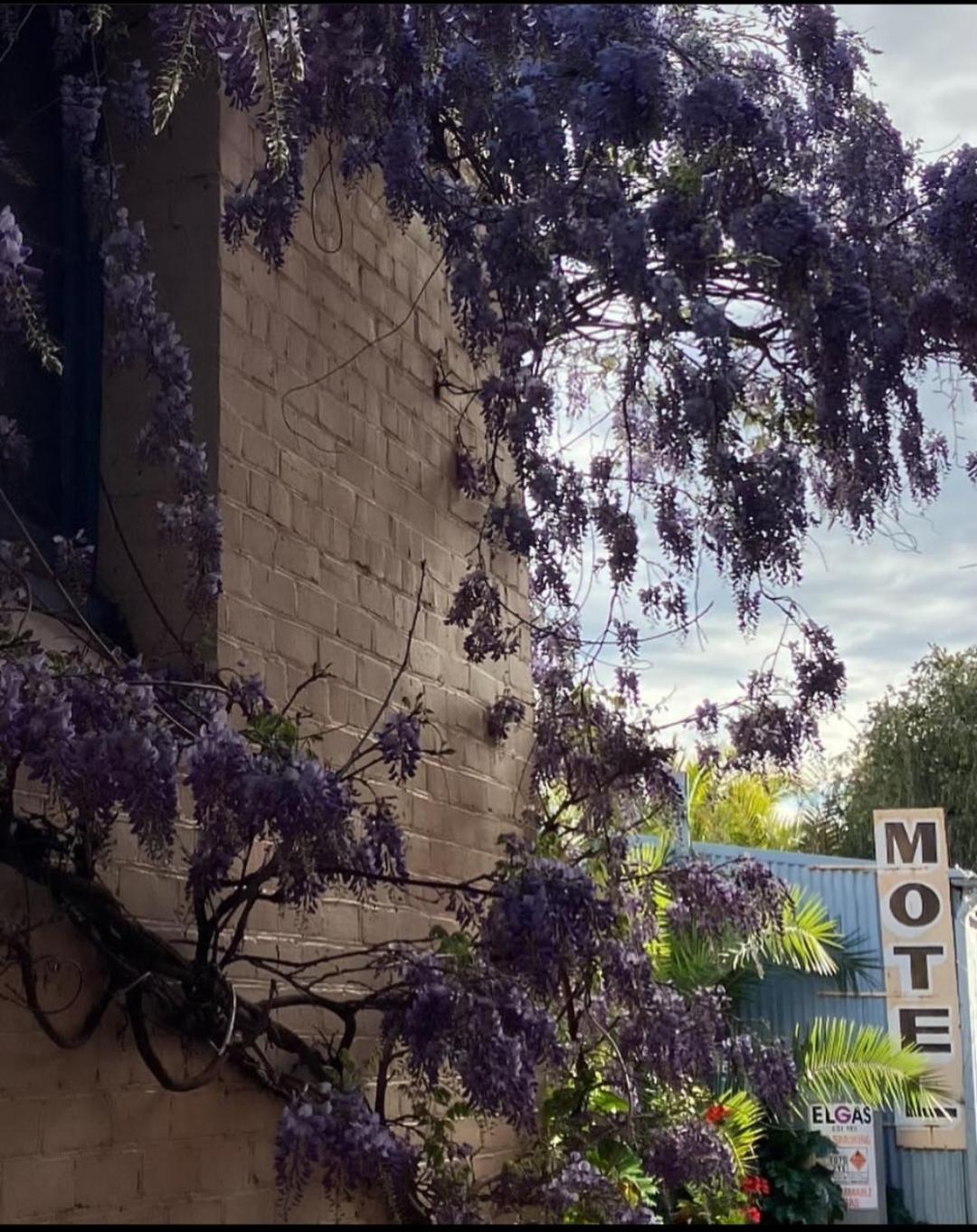 Saint Arnaud La Cochon Rose Motel المظهر الخارجي الصورة